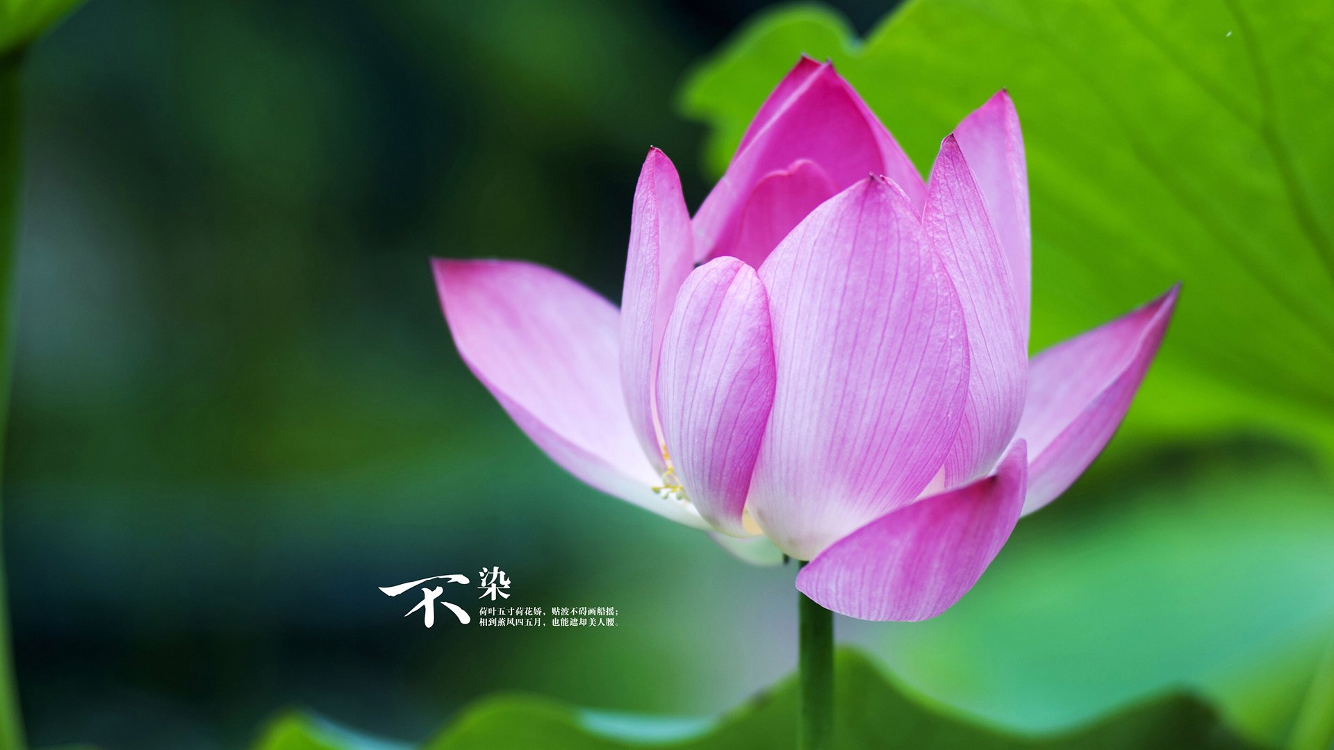 中超联赛引入VAR技术提升判罚公正性，中超var点球