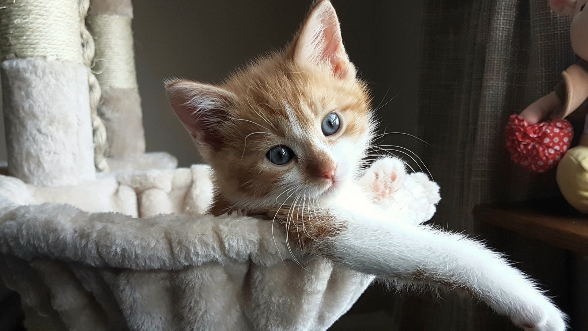 广场舞推动中国文化走向世界，中国舞文化的推广