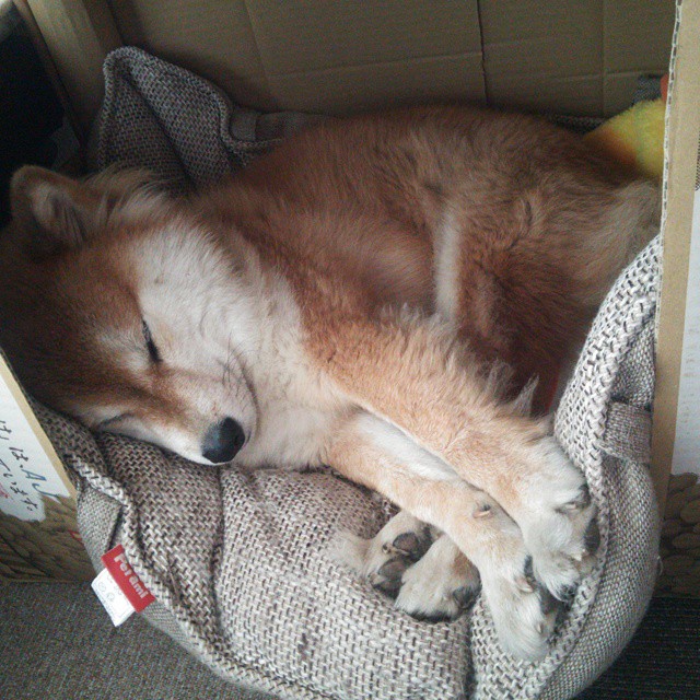 【场地优势】不同球场对比赛结果的影响详解，每个球场大小不同